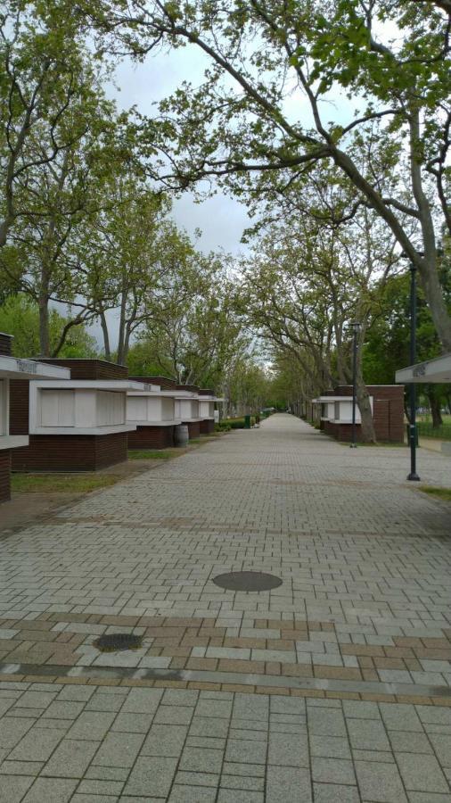 Lavender Apartment Balatonboglár Extérieur photo